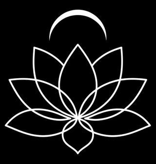 Obrázek 2 produktu Pánská mikina Lotus pod Měsícem