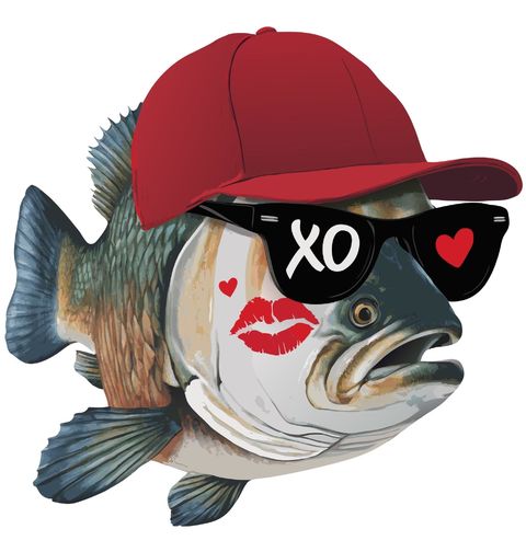 Obrázek produktu Dětské tričko Okoun s Kšiltovkou XO