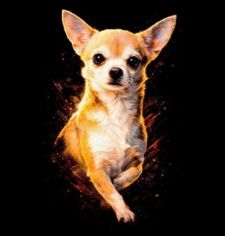 Obrázek 2 produktu Pánská mikina Zářivá Čivava