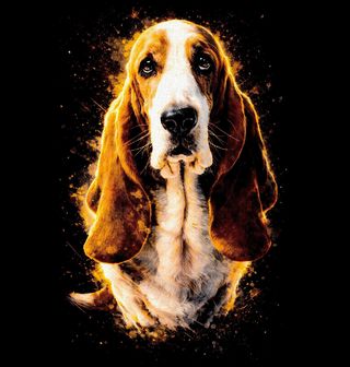 Obrázek 2 produktu Pánské tričko Ušlechtilý Baset