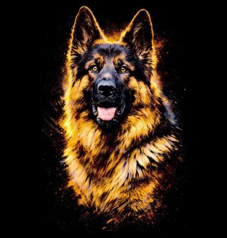 Obrázek 2 produktu Pánské tričko Oddaný Německý ovčák