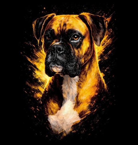 Obrázek produktu Dětské tričko Silný Boxer