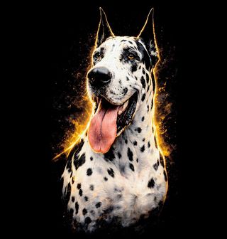 Obrázek 1 produktu Dámské tričko Harlekýnská Německá doga