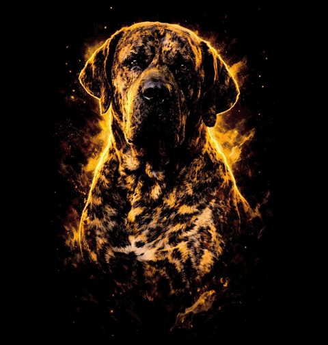 Obrázek produktu Pánské tričko Žíhaná Brazilská fila