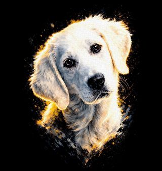 Obrázek 2 produktu Dámské tričko Štěně Labradora bílého