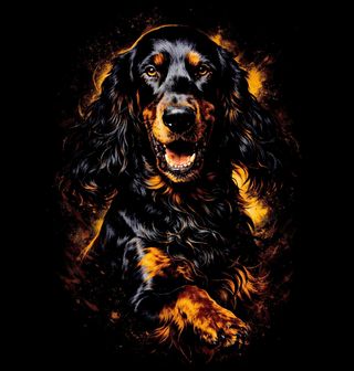 Obrázek 2 produktu Pánské tričko Gordonsetr