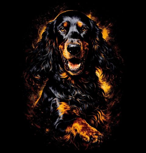 Obrázek produktu Dámské tričko Gordonsetr