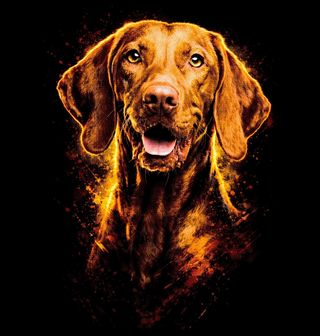 Obrázek 1 produktu Dětské tričko Maďarský ohař krátkosrstý Vizsla