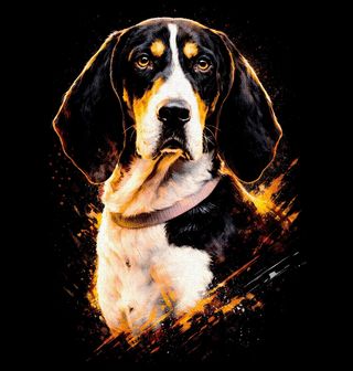 Obrázek 1 produktu Pánská mikina Bernský honič