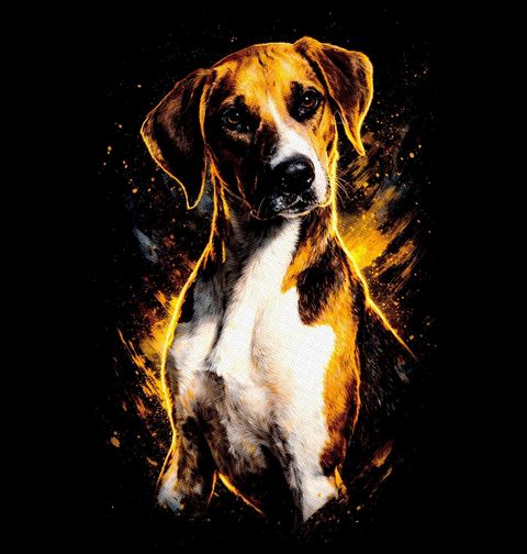 Obrázek produktu Pánské tričko Harrier