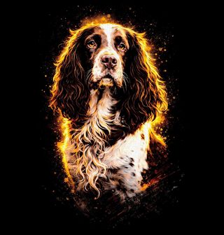 Obrázek 1 produktu Pánská mikina Anglický špringeršpaněl