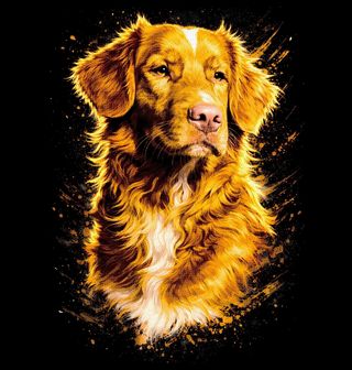 Obrázek 2 produktu Pánská mikina Novoskotský retrívr