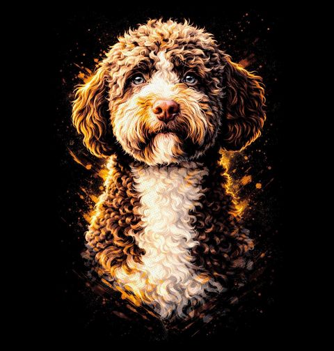 Obrázek produktu Pánské tričko Romaňolský vodní pes