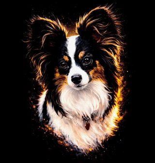 Obrázek 1 produktu Dámské tričko Papillon