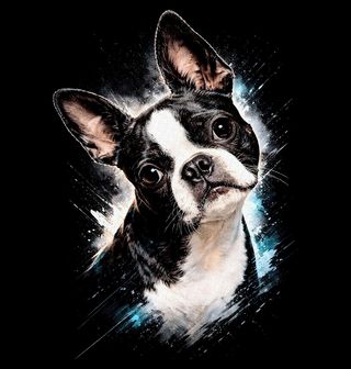 Obrázek 1 produktu Pánské tričko Udivený Bostonský teriér