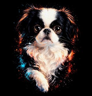 Obrázek 1 produktu Dětské tričko Japonský chin Japan-chin