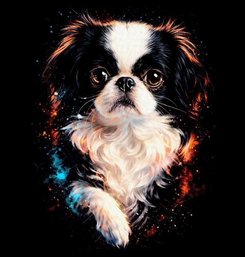 Obrázek produktu Pánská mikina Japonský chin Japan-chin