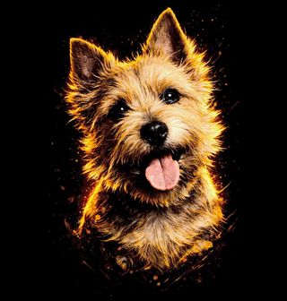 Obrázek 2 produktu Dětské tričko Norwich teriér