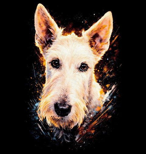 Obrázek produktu Pánská mikina Foxteriér