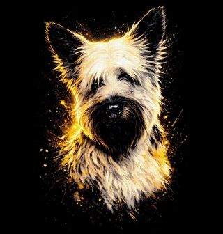 Obrázek 1 produktu Pánské tričko Skotský Teriér Bílý