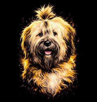 Obrázek 1 produktu Dámské tričko Zlatý Tibetský teriér