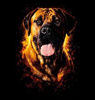 Obrázek 2 produktu Pánská mikina Búrský buldok