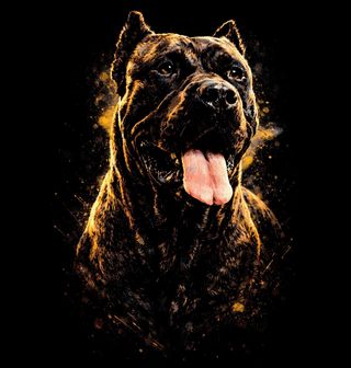 Obrázek 2 produktu Dětské tričko Hrdý Cane Corso