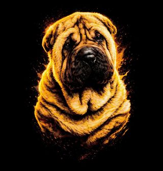 Obrázek 2 produktu Dětské tričko Šarpej Shar Pei