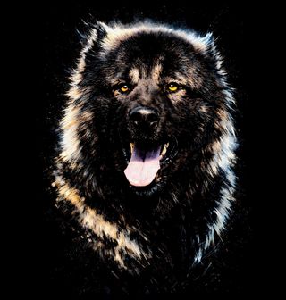 Obrázek 2 produktu Dámské tričko Kavkazský pastevecký pes