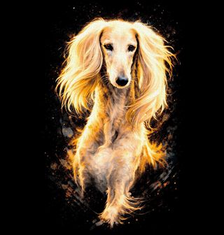 Obrázek 2 produktu Pánská mikina Perský chrt Saluki Bílý