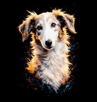 Obrázek 2 produktu Pánské tričko Ruský chrt Barzoj