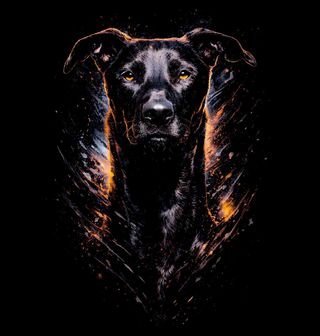 Obrázek 1 produktu Pánské tričko Černý Labradorský retrívr