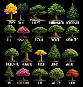 Obrázek 2 produktu Pánská mikina Atlas Stromů