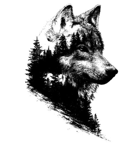 Obrázek produktu Dámské tričko Tajemný Černobílý vlk