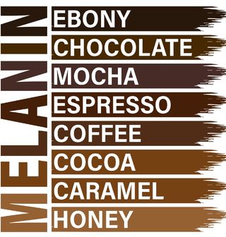 Obrázek 2 produktu Pánské tričko Melanin od Ebony až po Honey