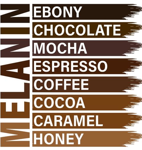 Obrázek produktu Dámské tričko Melanin od Ebony až po Honey