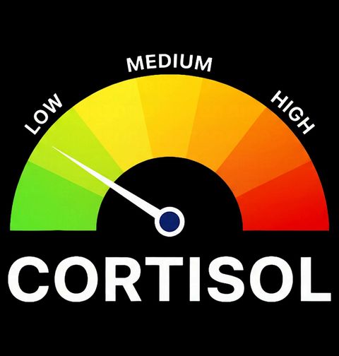 Obrázek produktu Dámské tričko Nízká Hladina Stresu Cortisol