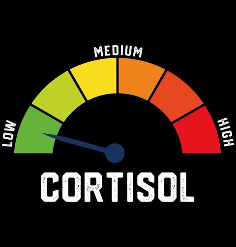 Obrázek produktu Pánské tričko Cortisol na Stupnici