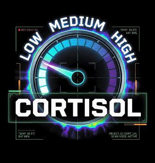 Obrázek 2 produktu Dámské tričko Cortisol Scan