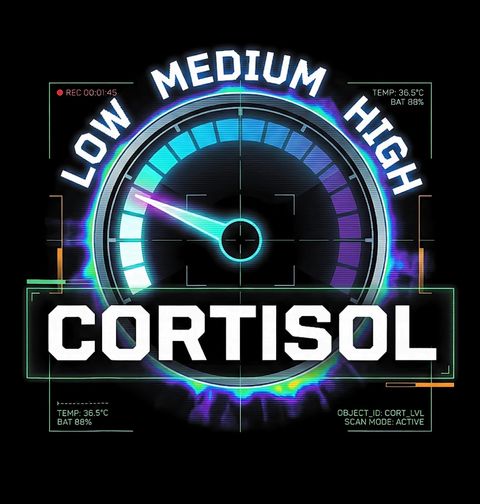 Obrázek produktu Dámské tričko Cortisol Scan