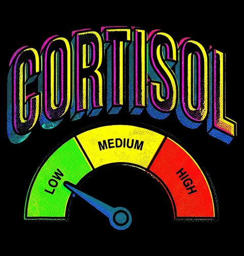 Obrázek produktu Dámské tričko Barevný Ukazatel Stresu Cortisol