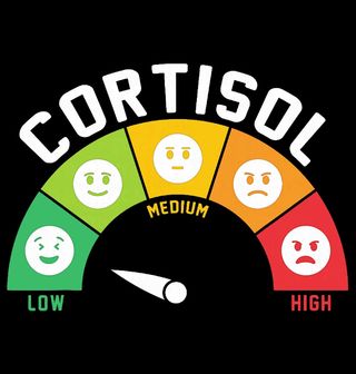 Obrázek 2 produktu Dětské tričko Cortisol a Nálada