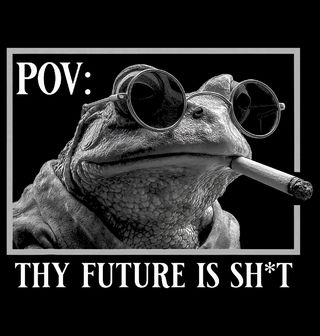 Obrázek 2 produktu Dámské tričko Žába a Budoucnost