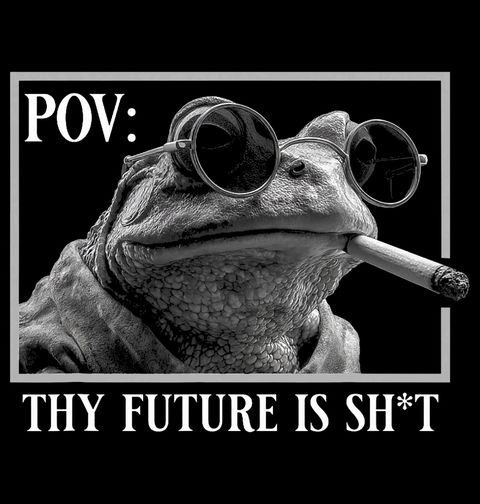 Obrázek produktu Dámské tričko Žába a Budoucnost