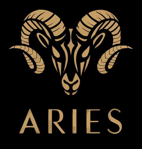 Obrázek produktu Dětské tričko Znamení Beran Aries