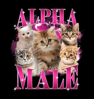 Obrázek 2 produktu Dětské tričko Kočičí Alpha Male