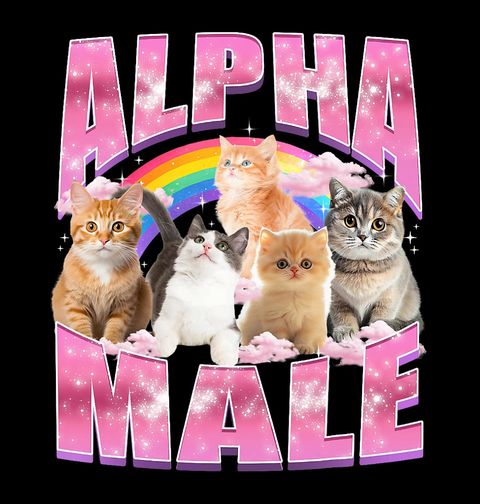 Obrázek produktu Dětské tričko Alfa Samec Alpha Male