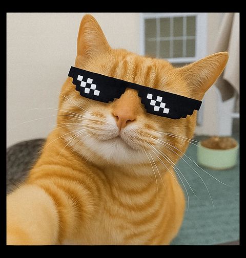 Obrázek produktu Dětské tričko Selfie Kočka se Stylovými Brýlemi