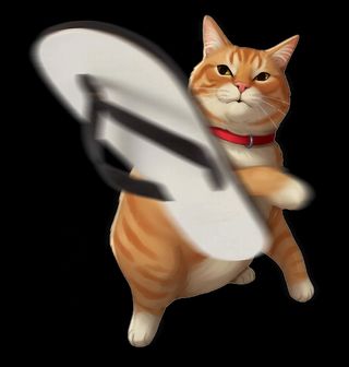 Obrázek 2 produktu Pánské tričko Kočka a Sandále