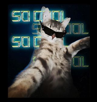 Obrázek 2 produktu Pánské tričko Selfie Cool Kočka s Brýlemi